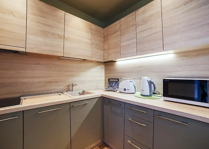 Apartament Ballare House